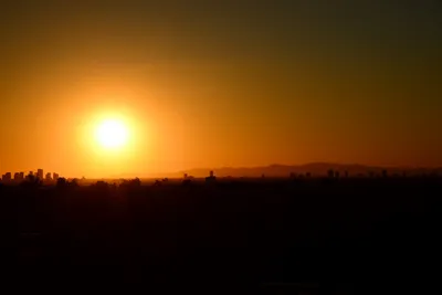 DSC_1447 (Large).JPG